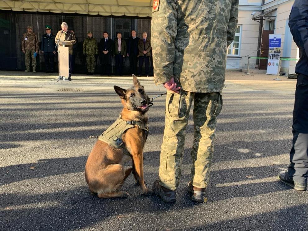 European hot sale working dogs